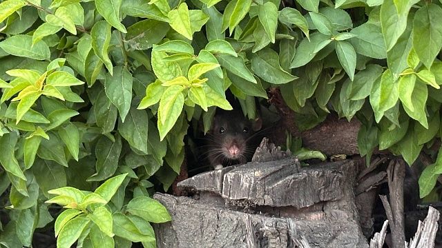 Фото: телеканал «Краснодар»