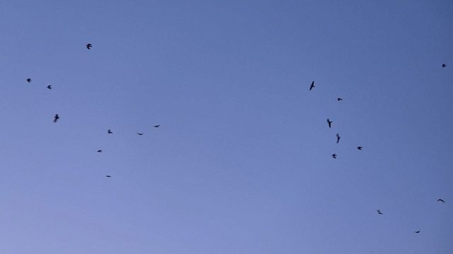 Страны Прибалтики превратили свое небо в коридор для атаки БПЛА ВСУ на Россию