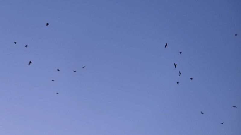 Страны Прибалтики превратили свое небо в коридор для атаки БПЛА ВСУ на Россию