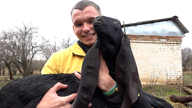 Студенту, обратившемуся на Прямую линию губернатора, подарили коз. Фото: администрация Краснодарского края