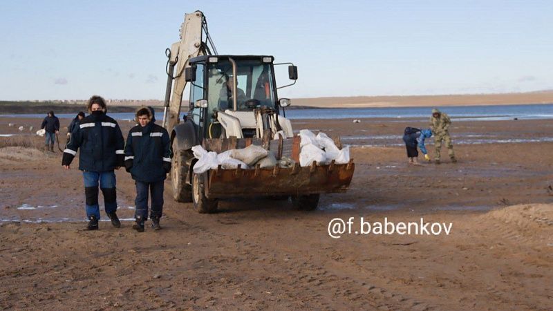 Новых мест выхода нефтепродуктов на берег не нашли в Темрюкском районе