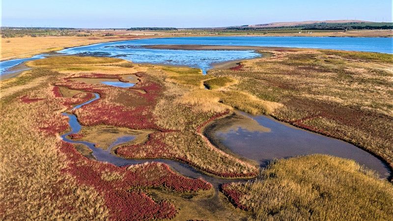 За десять лет создали 52 особо охраняемые природные территории на Кубани