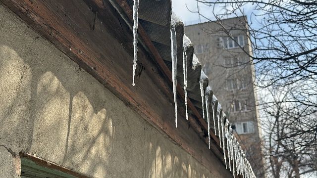 Фото: телеканал «Краснодар»