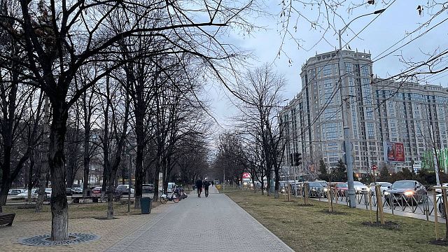 В Краснодаре наступит календарная весна, но погода будет прохладной и ветреной. Фото: телеканал «Краснодар»