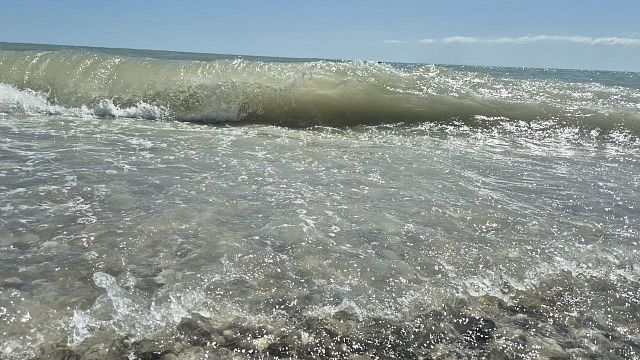 Фото: телеканал «Краснодар»