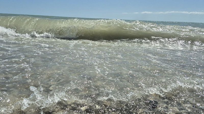 Гигантский сельдяной король выбросился на берег в Тасмании