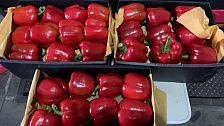 В Краснодаре уничтожат больше 1 тонны красных перцев, которые привезены незаконно