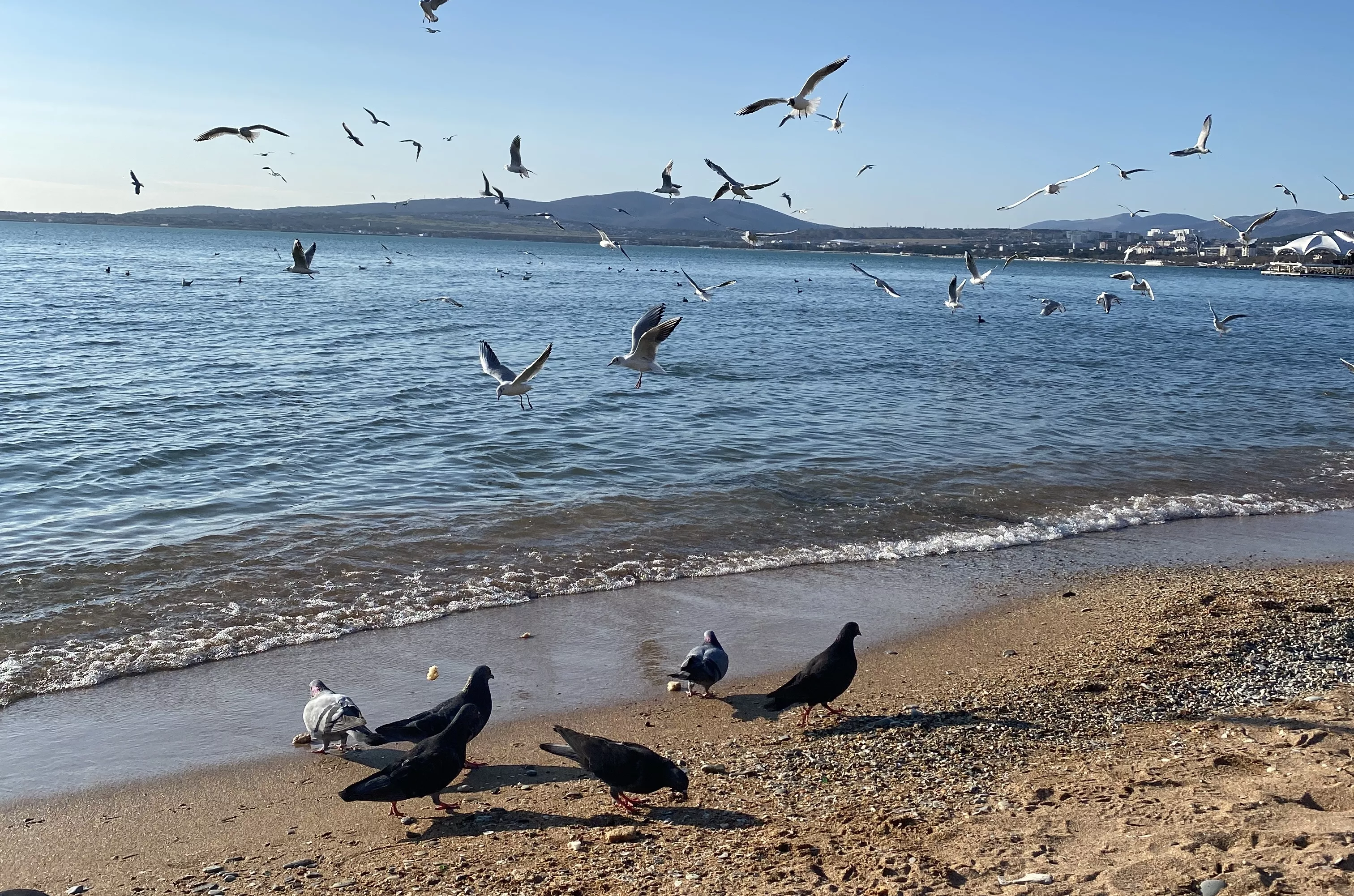 Какая погода и температура воды на морских курортах в ближайшие 10 дней | Ассоциация Туроператоров