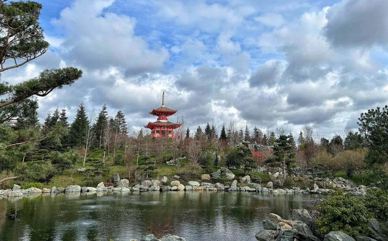 Японский сад открылся. Новую локацию парка «Краснодар» можно посетить по записи