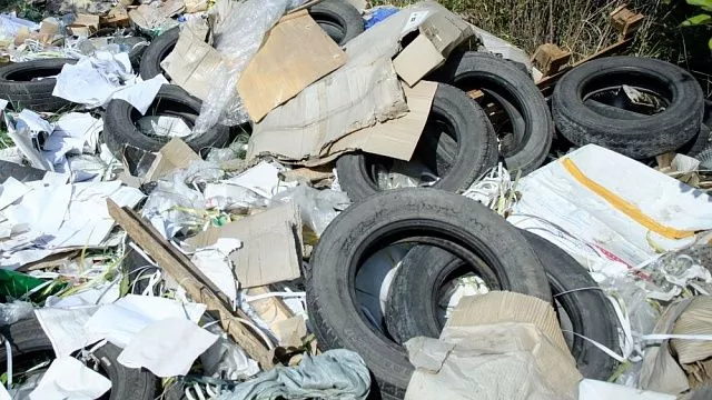 В Краснодаре во время санитарного месячника очистили от мусора более 100 га зеленых зон