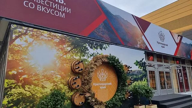 Экспозиция Краснодарского края на Петербургском международном экономическом форуме занимает 900 кв. м.